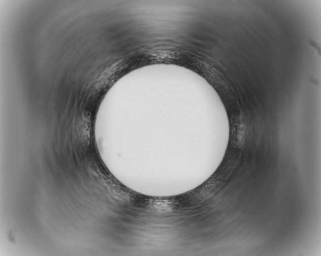 X0000102390710200808291423