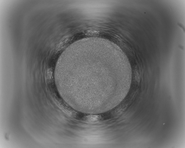 X0000102390711200808291423