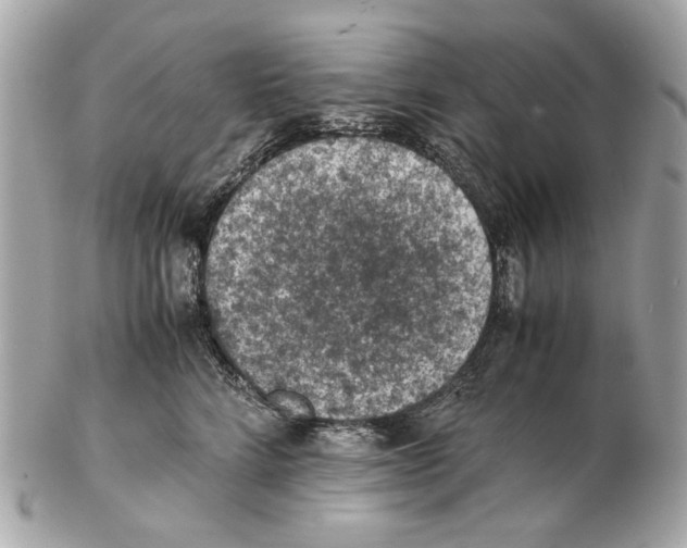 X0000102390712200808291423