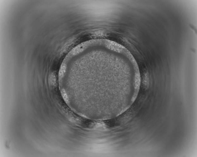 X0000102390715200808291423
