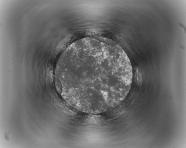 X0000102390716200808291423