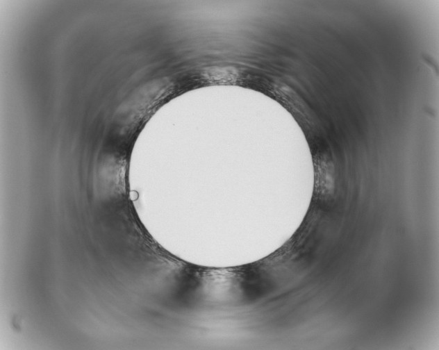 X0000102390717200808291423