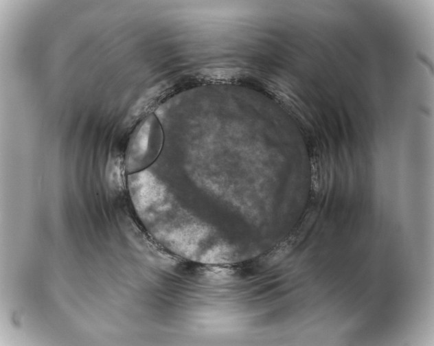 X0000102390718200808291423