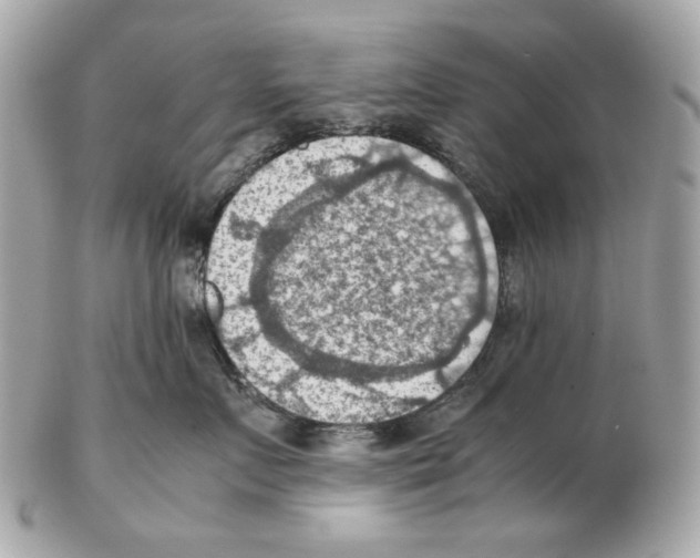 X0000102390719200808291423