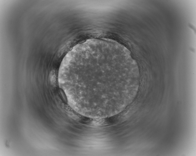 X0000102390720200808291423