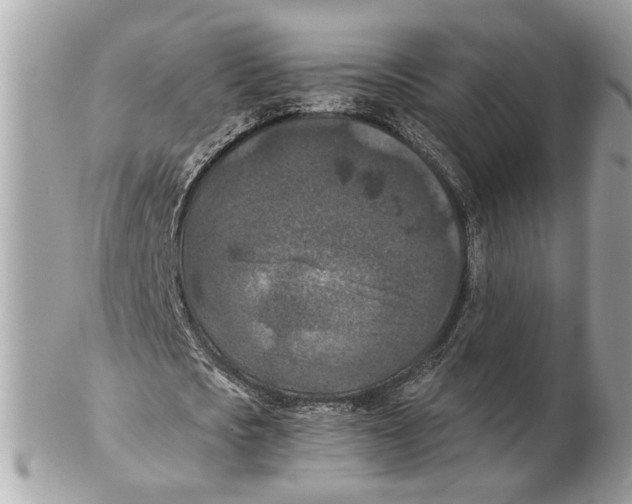 X0000102390721200808291422