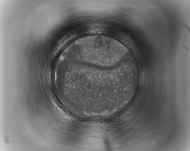 X0000102390722200808291422