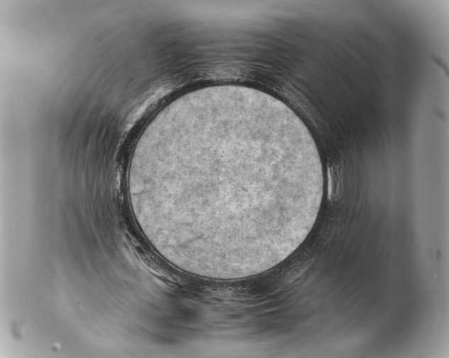 X0000102390723200808291423