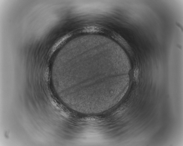 X0000102390724200808291423