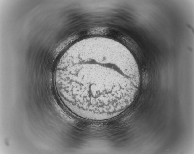 X0000102390725200808291423