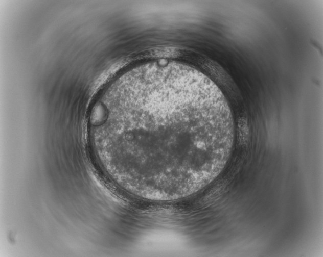 X0000102390726200808291423
