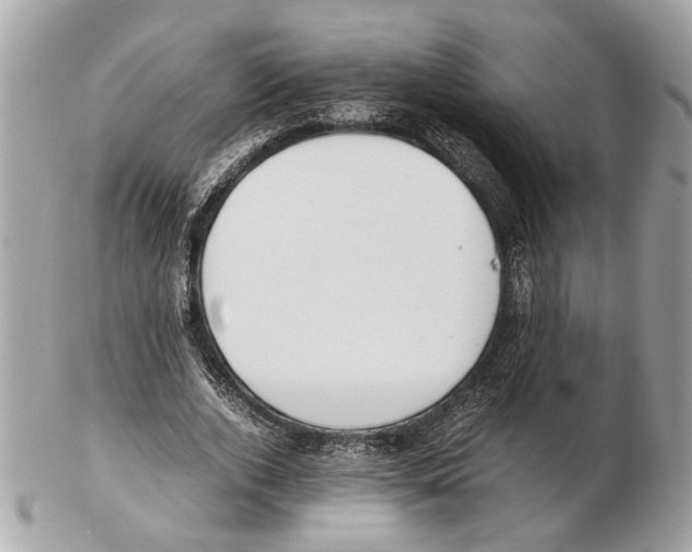X0000102390728200808291423