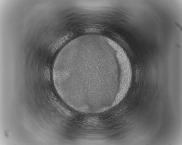 X0000102390729200808291423
