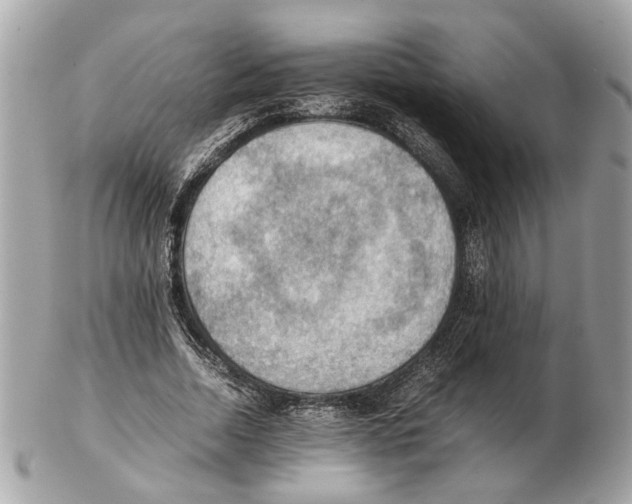 X0000102390730200808291423