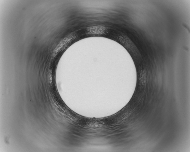X0000102390731200808291423
