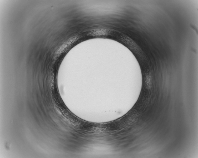 X0000102390732200808291423