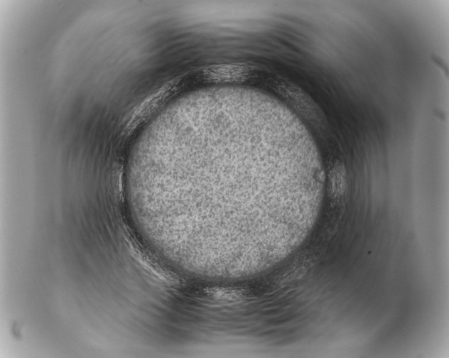 X0000102390733200808291423