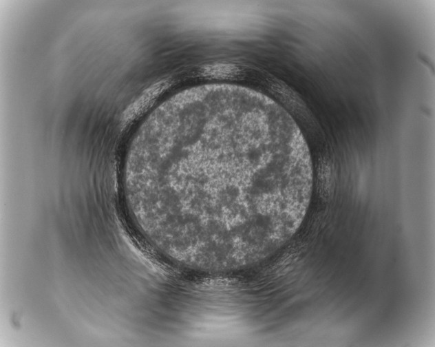 X0000102390734200808291423