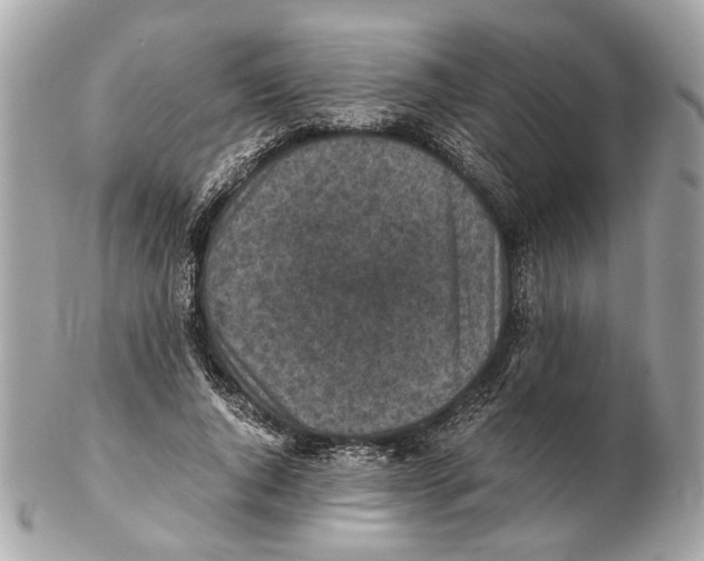 X0000102390736200808291423
