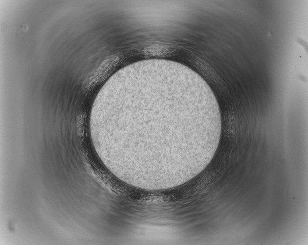 X0000102390738200808291423