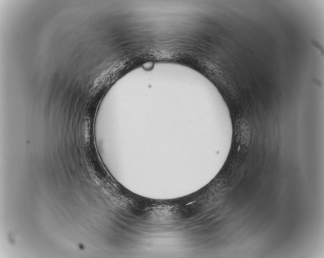 X0000102390740200808291423