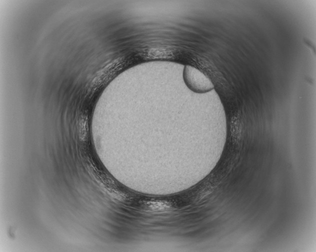 X0000102390741200808291423