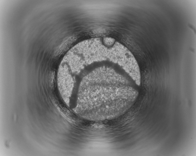 X0000102390742200808291423