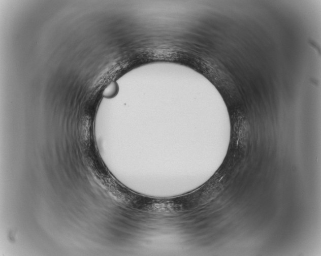 X0000102390744200808291423