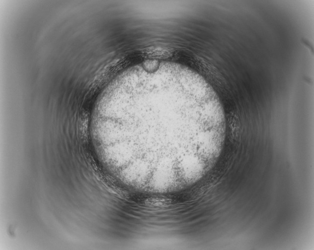 X0000102390745200808291423