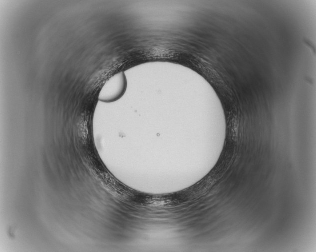 X0000102390746200808291423