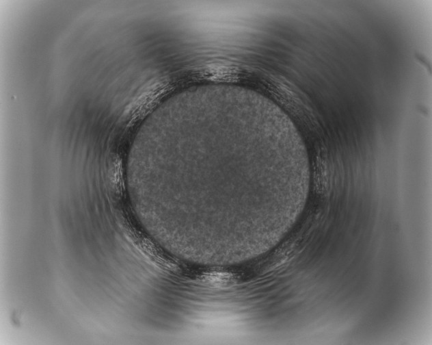 X0000102390748200808291423
