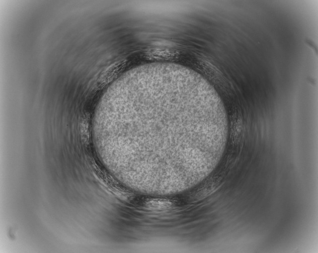 X0000102390749200808291423