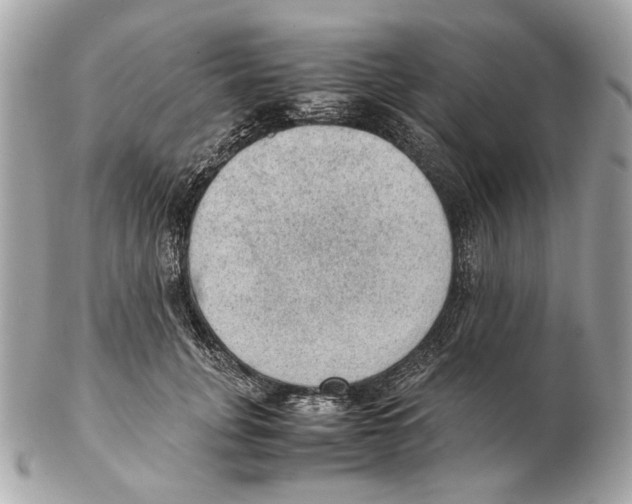 X0000102390751200808291423