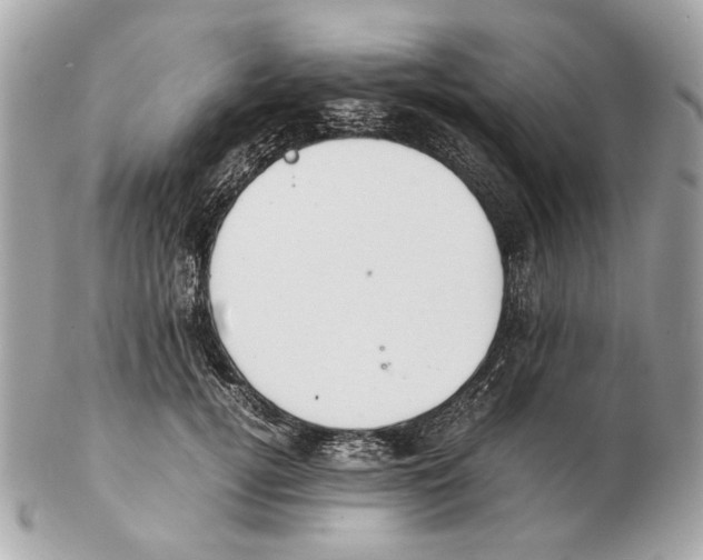 X0000102390752200808291423