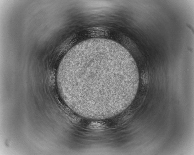 X0000102390753200808291423