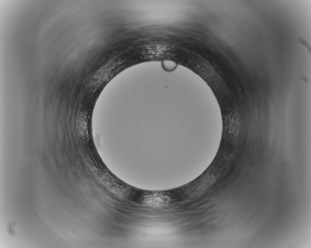 X0000102390754200808291423
