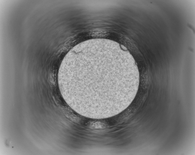 X0000102390755200808291423