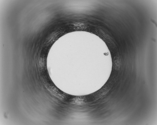 X0000102390756200808291423