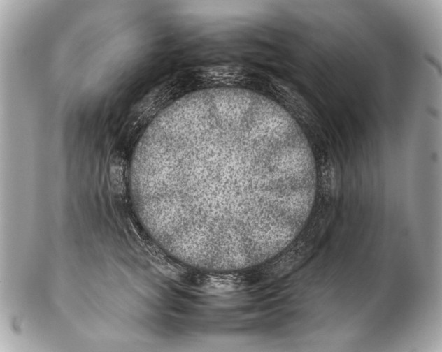 X0000102390757200808291423