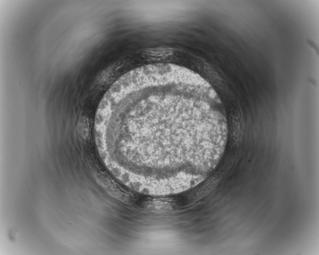 X0000102390758200808291423