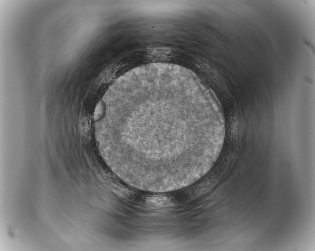 X0000102390759200808291423