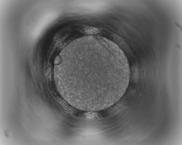 X0000102390762200808291423