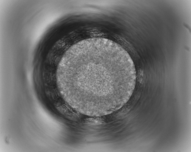 X0000102390763200808291423