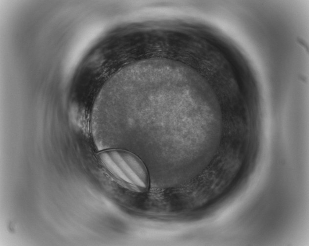 X0000102390766200808291423