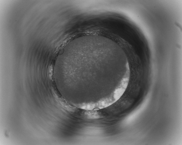X0000102390767200808291423