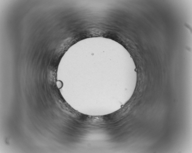 X0000102390768200808291423