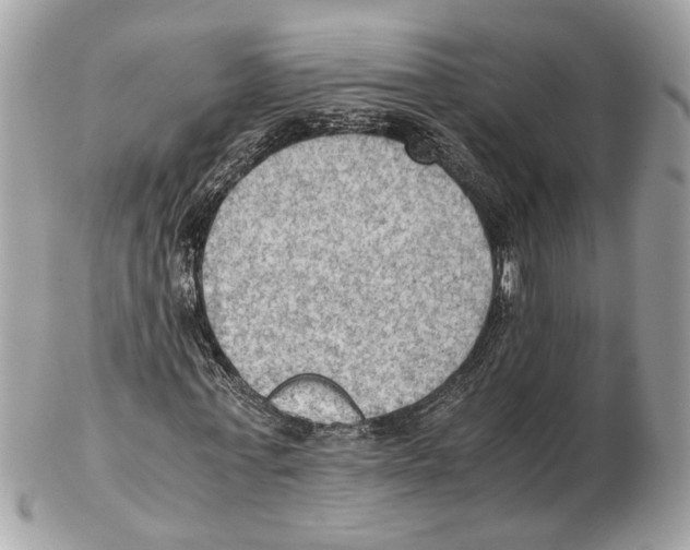 X0000102390771200808291422