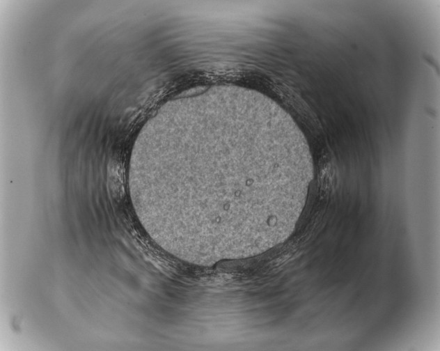 X0000102390772200808291422