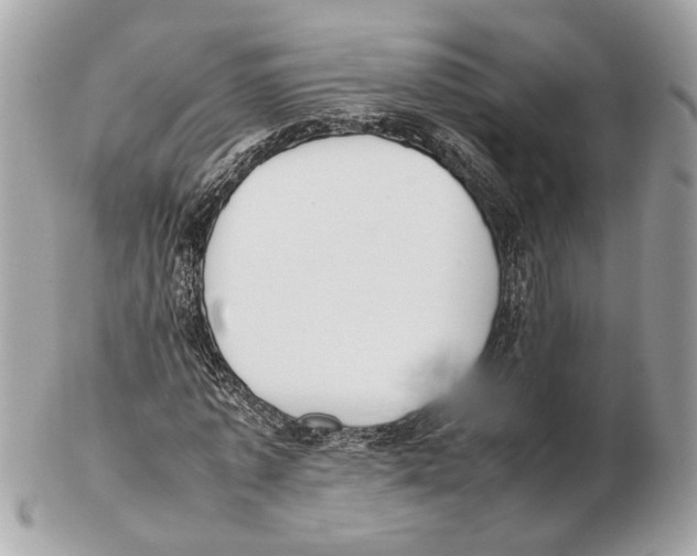 X0000102390773200808291422