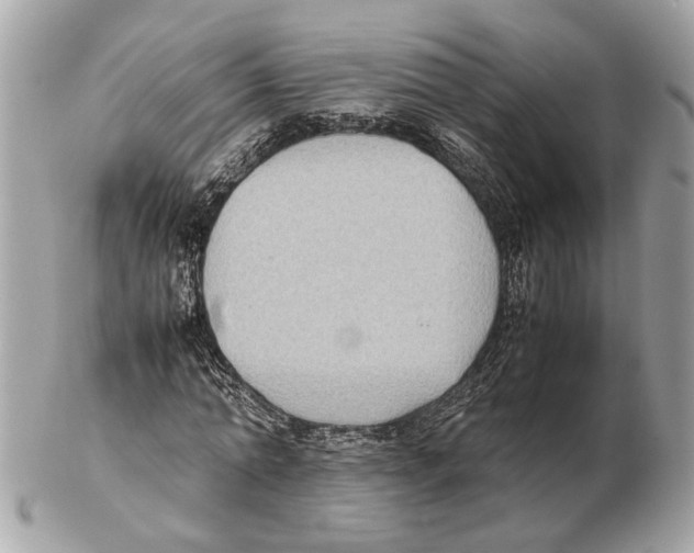 X0000102390774200808291422